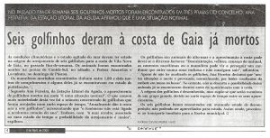 Seis golfinhos deram à costa de Gaia já mortos