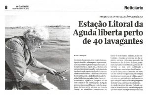 Estação Litoral da Aguda liberta perto de 40 lavagantes