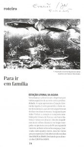 Para ir em família