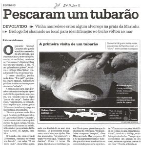 Pescaram um tubarão