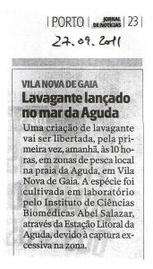 Lavagante lançado no mar da Aguda