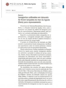 Lavagantes cultivados em laboratório foram lançados no mar da Aguda (Gaia) para repovoamento