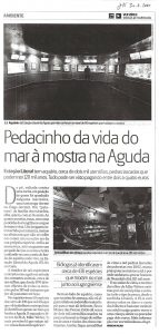Pedacinho da vida do mar à mostra na Aguda