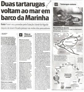 Duas tartarugas voltam ao mar em barco da Marinha