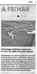 Tartaruga Carlinhos regressou ao mar em Gaia dois anos depois