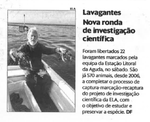 Lavagantes Nova ronda de investigação científica